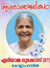 ഏലിയാമ്മ ലൂക്കോസ്